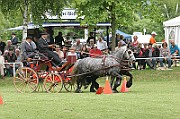 11_IMG_0094