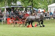 11_IMG_0095