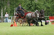 11_IMG_0098