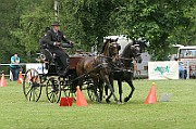 11_IMG_0100