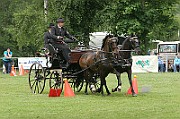 11_IMG_0101