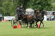 11_IMG_0102