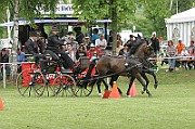 11_IMG_0106