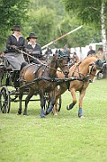 11_IMG_0109