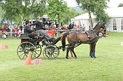 11_IMG_0110