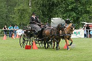 11_IMG_0112