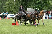 11_IMG_0113
