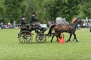 11_IMG_0114
