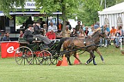 11_IMG_0117
