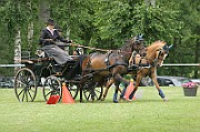 11_IMG_0119