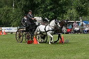 11_IMG_0123