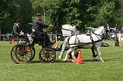 11_IMG_0125
