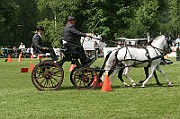 11_IMG_0126