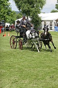 11_IMG_0127