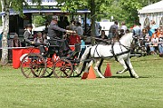 11_IMG_0130