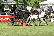 11_IMG_0131