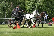 11_IMG_0132
