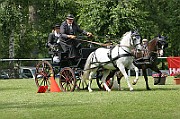 11_IMG_0133