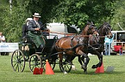 11_IMG_0135