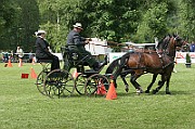 11_IMG_0136