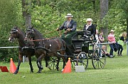11_IMG_0139