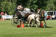 11_IMG_0147