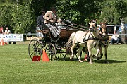 11_IMG_0148
