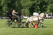 11_IMG_0149