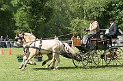 11_IMG_0152