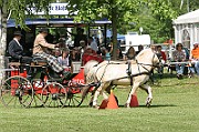 11_IMG_0153