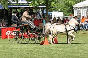 11_IMG_0154