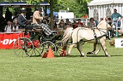 11_IMG_0155