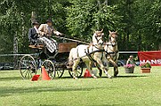11_IMG_0156