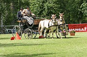 11_IMG_0157