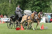 11_IMG_0160
