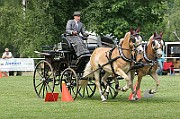 11_IMG_0161