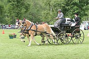 11_IMG_0164