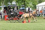 11_IMG_0166