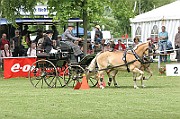 11_IMG_0167