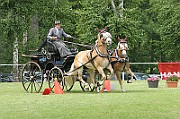 11_IMG_0168