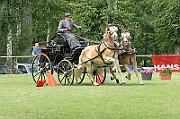 11_IMG_0169
