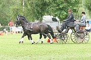 11_IMG_0171