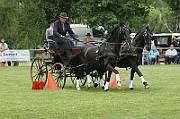 11_IMG_0173