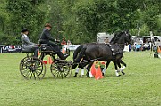 11_IMG_0174
