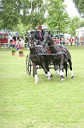 11_IMG_0175