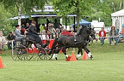 11_IMG_0177