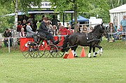 11_IMG_0178
