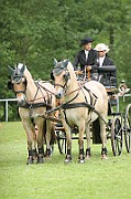 11_IMG_0179
