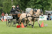 11_IMG_0180
