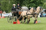 11_IMG_0181